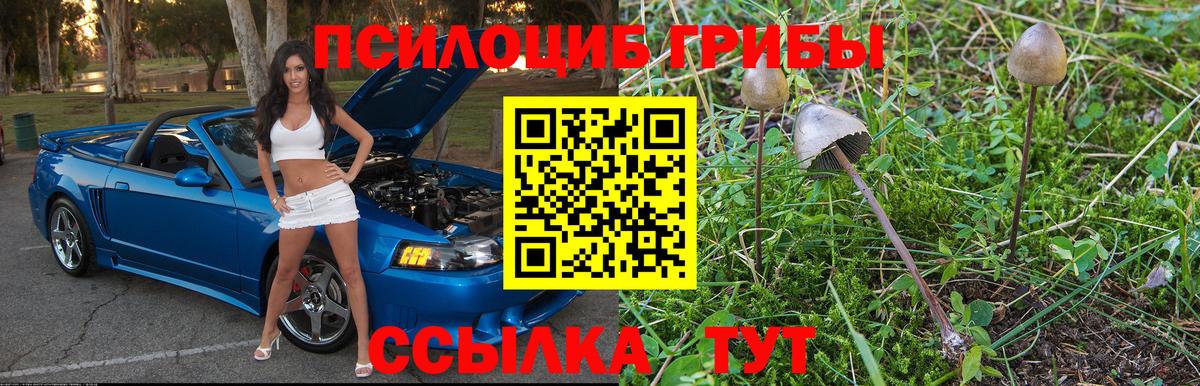 Псилоцибиновые грибы мухоморы  Вход с VPN  Псилоцибиновые грибы MAGIC MUSHROOMS  Набережные Челны 
